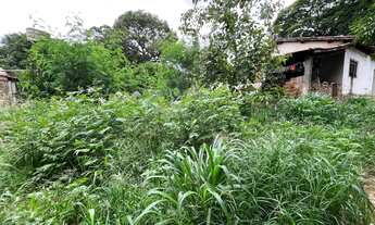 Imagem 5: Vendo lote em área comercial