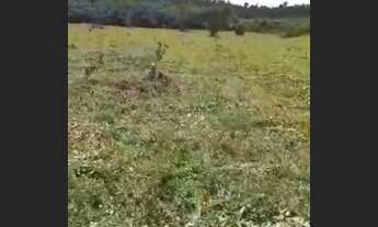 Imagem 7: Vendo 10 alqurires no brejão valor 70 mil o alqurires