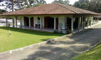 Imagem 4: Chácara para venda tem 36000 metros quadrados com 5 quartos em Jardim Amélia - Pinhais - P