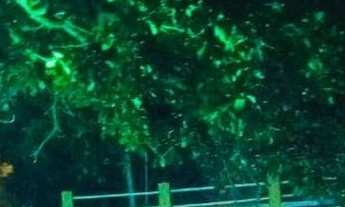 Imagem: Casa de praia em muriu