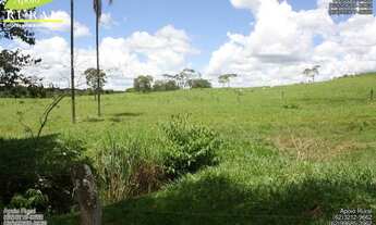 Imagem 2: Fazenda de dupla aptidão