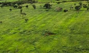 Imagem 4: Fazenda Triângulo Mineiro P/ Pecuária Lucrativa 100% Formada Completa