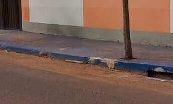 Imagem: Kitnets Oliveira ll 550 reais