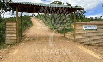 Imagem 2: Fazendinhas à venda, 20000m² Zona Rural - Lagoa Santa