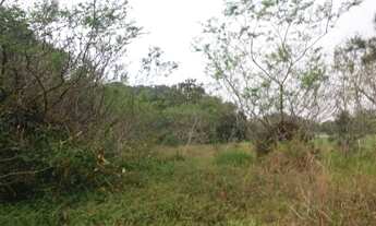 Imagem 3: Área na BR 101 com 50000,00 m2