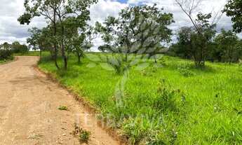 Imagem: Fazendinhas à venda, 20000m² Zona Rural