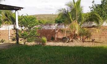 Imagem 4: Chácara maravilhosa com 15.000m2 em União dos Palmares