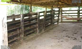 Imagem 5: Fazenda de dupla aptidão