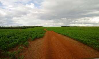 Imagem: Vendo fazenda em Pedro Afonso Tocantins