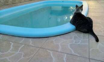 Imagem 4: Casa com 2 dormitórios à venda, 163 m² por R$ 1.100.000,00 - Passo das Pedras - Porto Aleg