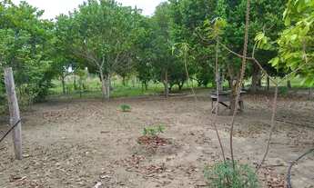 Imagem 7: SÍTIO REG. BOM INTENTO