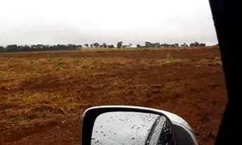 Imagem 4: Fazenda 74 Alqueires Região De Palestina /GO