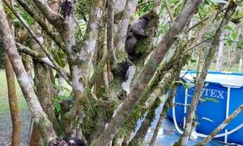 Imagem 3: ITANHAÉM - Chácara - Jardim São Fernando