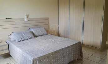 Imagem 7: Araçatuba - Casa - Palmeiras