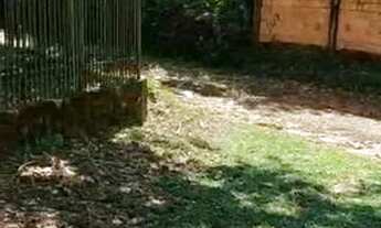 Imagem 2: Terreno para chácara no Tarumã