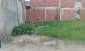 Imagem 3: Vendo terreno em 3 carneiros