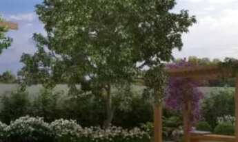 Imagem 5: Novo Condomínio de Casas em Camaçari