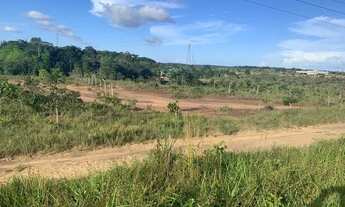 Imagem 3: Terreno para galpão na beira do asfalto