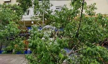 Imagem 2: Apartamento para Venda - 131m², 3 dormitórios, sendo 1 suites, Partenon