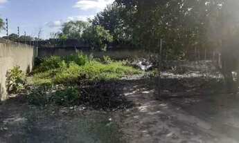 Imagem 5: Casa no Jardim das Copaíbas (Distrito Industrial