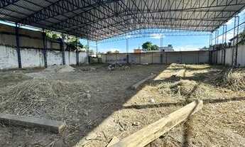 Imagem 4: Vendo ou alugo GALPÃO 1.300.000,00