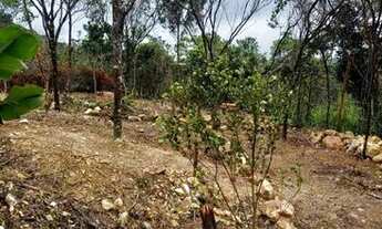 Imagem 5: Vendo Terreno no Vale do Capão