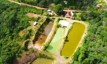 Imagem: Sitio 10 hectares Santa Isabel