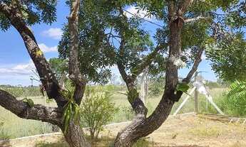 Imagem 6: Lindo Sitio próximo a Inimutaba