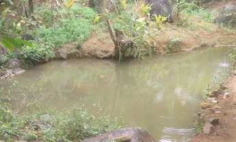 Imagem: Chácara Viana 15 mil metros quadrados casa