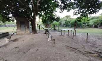 Imagem 7: Fazenda em Teresina-PI