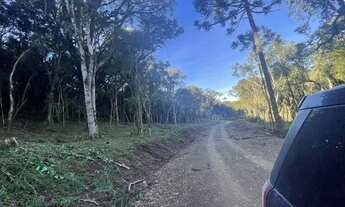 Imagem 6: Terreno 20.000 m² em Urubici