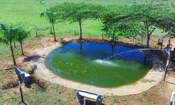 Imagem 5: Sítio/chácara na beira da rodovia de Martinopolis