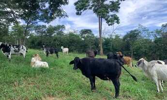 Imagem 4: Chácara 10.000m² com cachoeira de aguas cristalinas nos fundos, Jaboticatubas