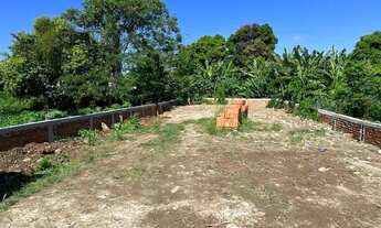 Imagem 6: Terreno perto do Mercado Adônai aluga ou vende mato alto