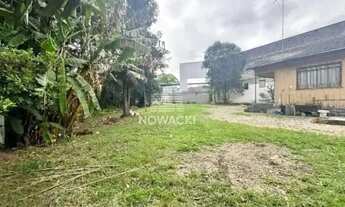 Imagem 6: EXCELENTE TERRENO A VENDA AO LADO DA AVIPEC NO BACACHERI!