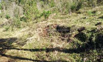 Imagem 3: SÍTIO À VENDA VÁRZEA GRANDE - GRAMADO/RS