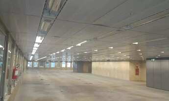 Imagem: Andar corrido para aluguel, 4 vagas, Santo