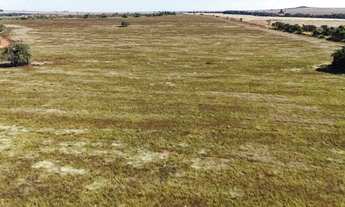 Imagem 2: Fazenda dupla aptidão (soja e gado) a venda no Núcleo Rural Rio Preto/DF