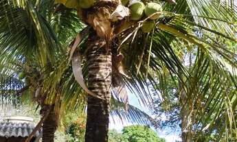 Imagem: Sítio em Juramento - MG