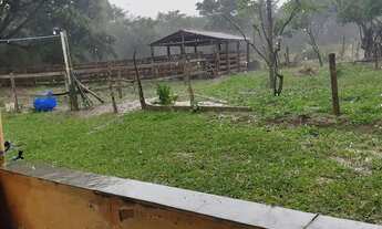 Imagem 4: Sítio 7 Alqueires, Brejão