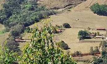 Imagem 4: Lindo Sítio em Amparo, SP, com lago e plantação de eucalipto
