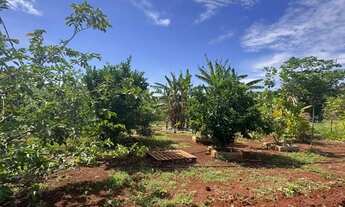 Imagem 4: Imóvel para venda com 3166 metros quadrados em Parque Solimões - Goianira - GO