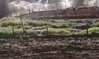 Imagem: Área produtiva /agricultura /Pecuária