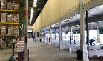 Imagem 6: Galpão Logístico para Venda - 10.018 m² - Rod. Edgard Zambrotto - Jarinu - SP