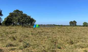 Imagem 5: FAZENDA À VENDA - 264 HECTARES - MONJOLOS (MG