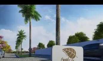 Imagem 6: Grande oportunidade em lagarto