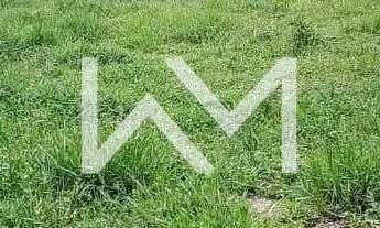 Imagem 3: Terreno à venda com casa com 1 quarto, 1 banheiro, 1 cozinha, quintal grande, 850m², Cuiab