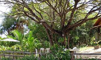 Imagem 3: Chácara em Barreirinhas