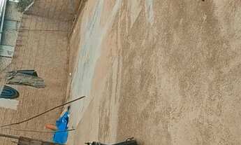 Imagem 6: Casa Casa com 2 dormitórios