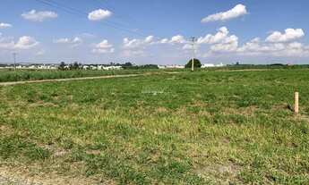 Imagem 3: Terreno à venda, Mato Alto / Sitio Palmeiras, Saltinho - (Código TE00826